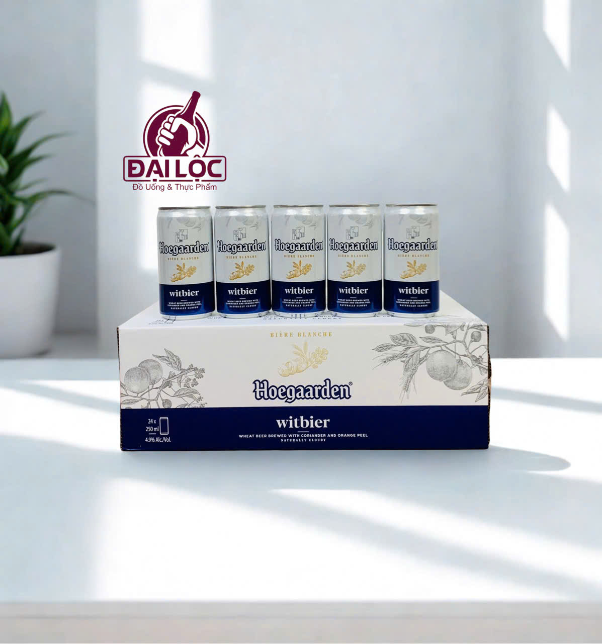 Hoegaarden white 24 lon 250ml Bia Bỉ Hoegaarden White Lon